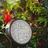 Close up view of skillet in a jungle with a stream of water and game pieces nearby.